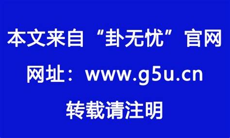 1982生肖狗|1982年出生属什么生肖 1982年属狗是什么命